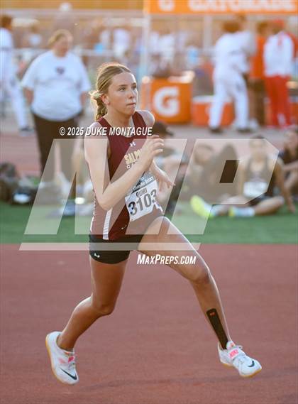 Thumbnail 1 in Chandler Rotary Invitational (High Jump) photogallery.