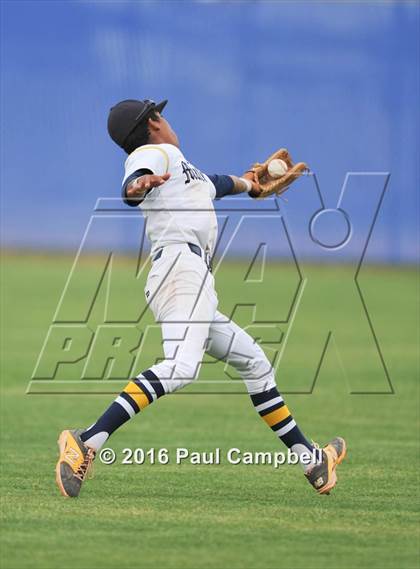 Thumbnail 3 in Cactus Shadows @ Shadow Mountain photogallery.