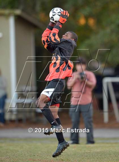 Thumbnail 1 in Tampa Bay HEAT @ Carrollwood Day photogallery.