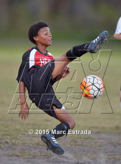 Thumbnail 1 in Tampa Bay HEAT @ Carrollwood Day photogallery.
