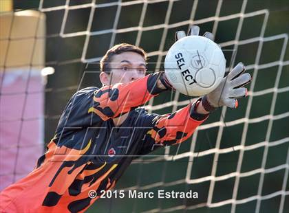 Thumbnail 1 in Tampa Bay HEAT @ Carrollwood Day photogallery.