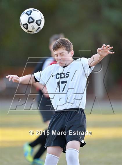 Thumbnail 2 in Tampa Bay HEAT @ Carrollwood Day photogallery.