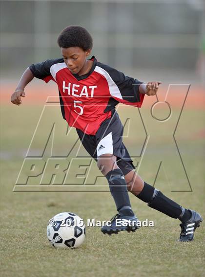 Thumbnail 3 in Tampa Bay HEAT @ Carrollwood Day photogallery.