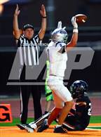 Photo from the gallery "Cactus Shadows @ Desert Edge"