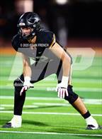 Photo from the gallery "Cactus Shadows @ Desert Edge"