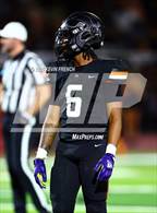 Photo from the gallery "Cactus Shadows @ Desert Edge"