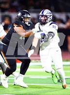 Photo from the gallery "Cactus Shadows @ Desert Edge"