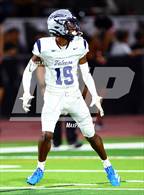 Photo from the gallery "Cactus Shadows @ Desert Edge"