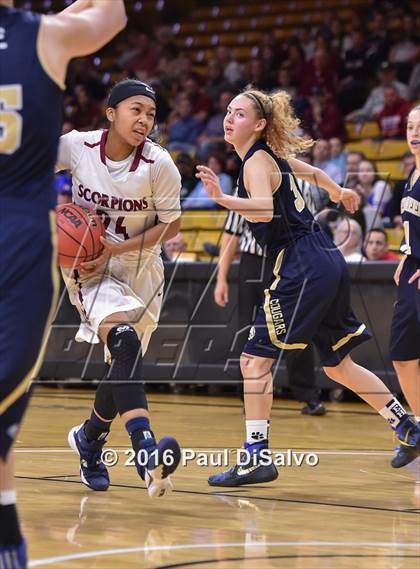 Thumbnail 2 in Evergreen vs. Sand Creek (CHSAA 4A Semifinal) photogallery.