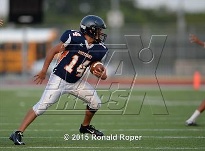 Thumbnail 3 in Sachse @ Wylie photogallery.