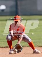 Photo from the gallery "St. Joseph @ Righetti"