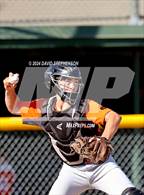 Photo from the gallery "St. Joseph @ Righetti"