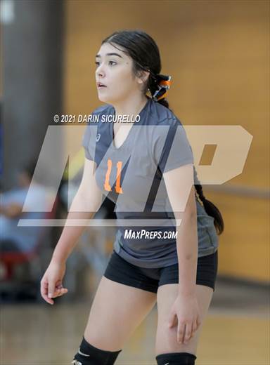null - Photo 21