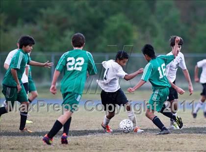Thumbnail 1 in Ashbrook @ Forestview  photogallery.