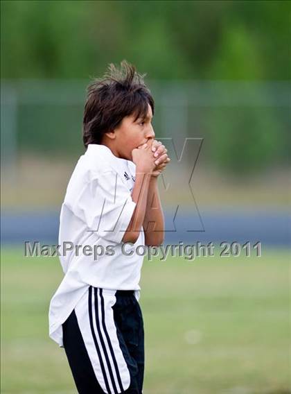 Thumbnail 2 in Ashbrook @ Forestview  photogallery.