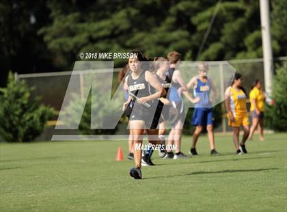 Thumbnail 1 in Manteo Cross Country Meet photogallery.