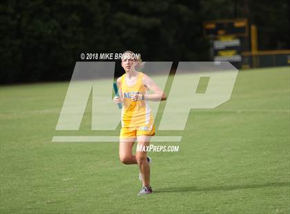 Thumbnail 2 in Manteo Cross Country Meet photogallery.