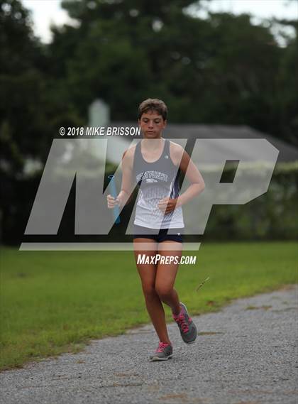 Thumbnail 1 in Manteo Cross Country Meet photogallery.