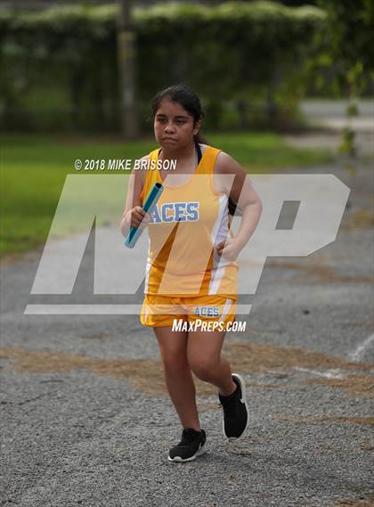 Thumbnail 2 in Manteo Cross Country Meet photogallery.