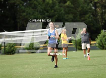 Thumbnail 2 in Manteo Cross Country Meet photogallery.