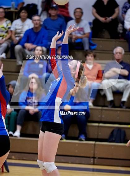 Thumbnail 1 in El Capitan @ Christian Brothers (CIF SJS D3 Playoffs) photogallery.