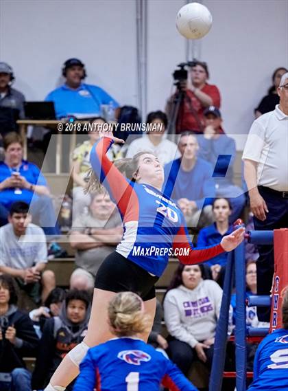 Thumbnail 2 in El Capitan @ Christian Brothers (CIF SJS D3 Playoffs) photogallery.