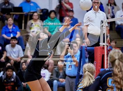Thumbnail 1 in El Capitan @ Christian Brothers (CIF SJS D3 Playoffs) photogallery.