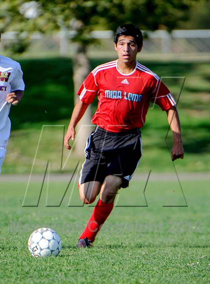 Thumbnail 3 in Mira Loma @ Whitney photogallery.