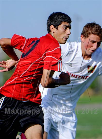 Thumbnail 3 in Mira Loma @ Whitney photogallery.