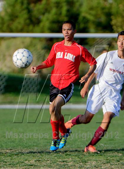 Thumbnail 2 in Mira Loma @ Whitney photogallery.