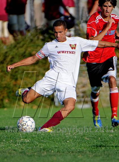 Thumbnail 1 in Mira Loma @ Whitney photogallery.