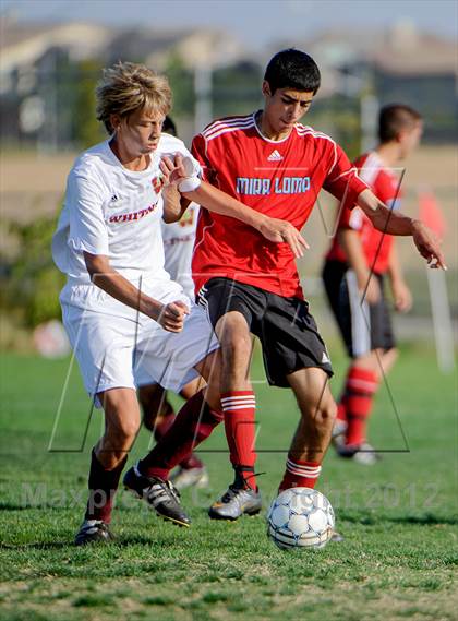 Thumbnail 2 in Mira Loma @ Whitney photogallery.