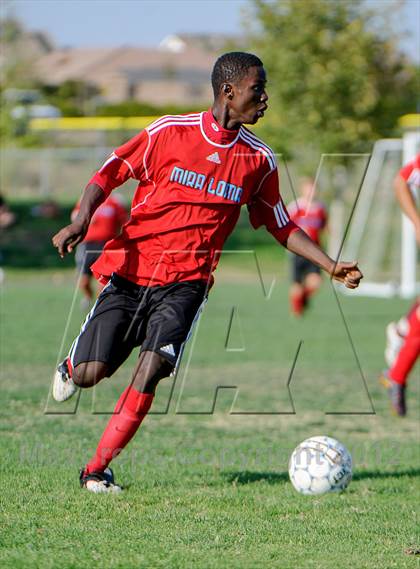Thumbnail 2 in Mira Loma @ Whitney photogallery.