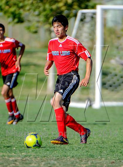 Thumbnail 1 in Mira Loma @ Whitney photogallery.