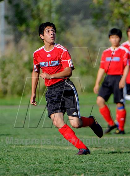 Thumbnail 2 in Mira Loma @ Whitney photogallery.