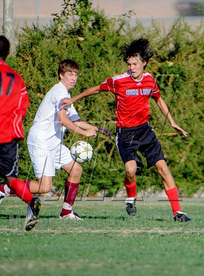 Thumbnail 1 in Mira Loma @ Whitney photogallery.