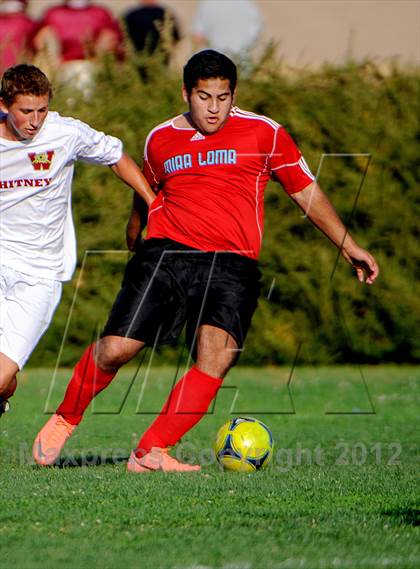 Thumbnail 3 in Mira Loma @ Whitney photogallery.