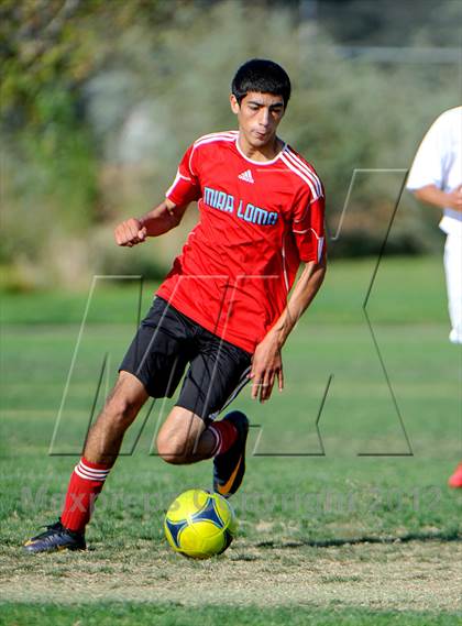 Thumbnail 1 in Mira Loma @ Whitney photogallery.