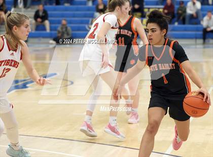 Thumbnail 1 in South Hadley vs. Tyngsborough (MIAA Division 4 Final Four) photogallery.