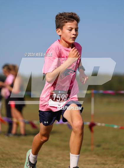 Thumbnail 2 in DeSoto County XC Championship photogallery.
