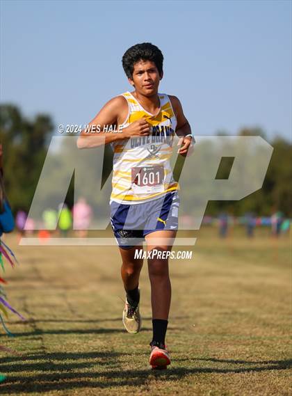 Thumbnail 2 in DeSoto County XC Championship photogallery.