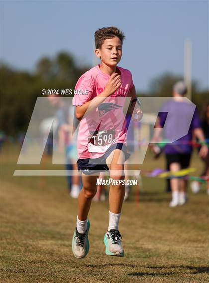 Thumbnail 1 in DeSoto County XC Championship photogallery.
