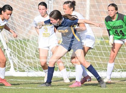 Thumbnail 1 in North Phoenix Preparatory Academy @ Phoenix Country Day (AIA 2A Round 1 Playoff) photogallery.