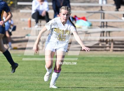 Thumbnail 3 in North Phoenix Preparatory Academy @ Phoenix Country Day (AIA 2A Round 1 Playoff) photogallery.