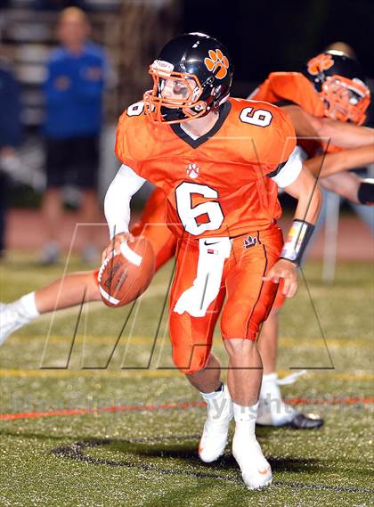 Thumbnail 1 in Ludlowe @ Ridgefield photogallery.