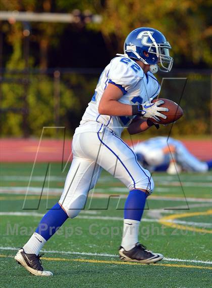 Thumbnail 2 in Ludlowe @ Ridgefield photogallery.