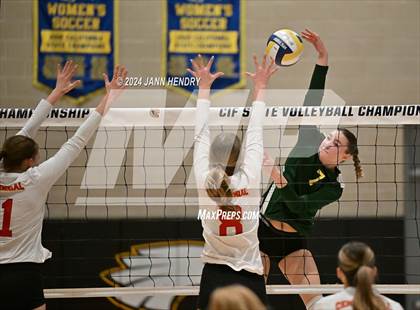 Thumbnail 2 in San Ramon Valley vs Centennial (CIF Division 2 Final) photogallery.