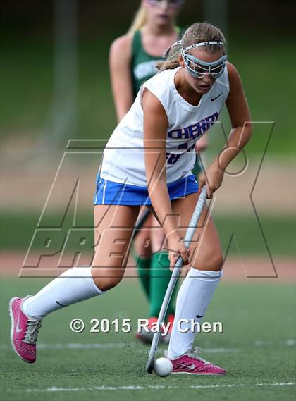 Thumbnail 2 in JV: Mountain Vista @ Cherry Creek photogallery.