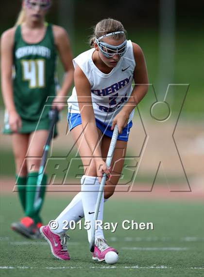 Thumbnail 3 in JV: Mountain Vista @ Cherry Creek photogallery.
