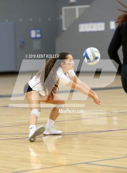 Thumbnail 1 in Troy vs Avondale (MHSAA District Quarterfinal) photogallery.